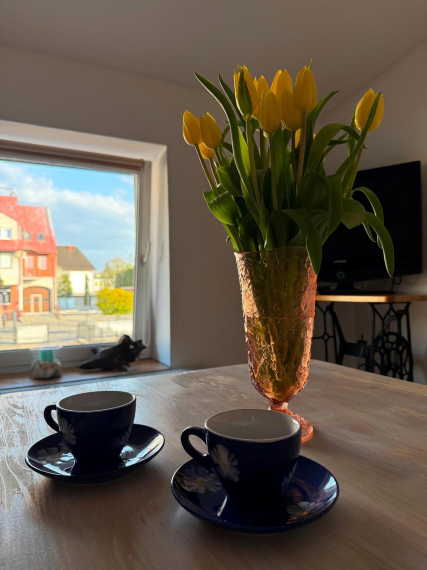 Studio Dwupokojowe Z Lazienka I Kuchnia Augustów Buitenkant foto